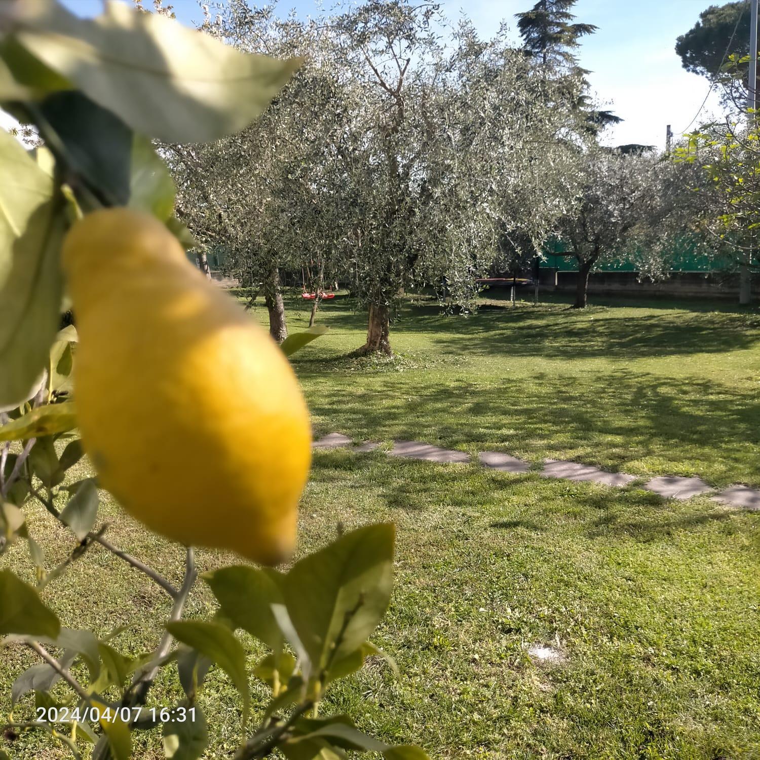 La Magnolia - Fano Bed and Breakfast Buitenkant foto