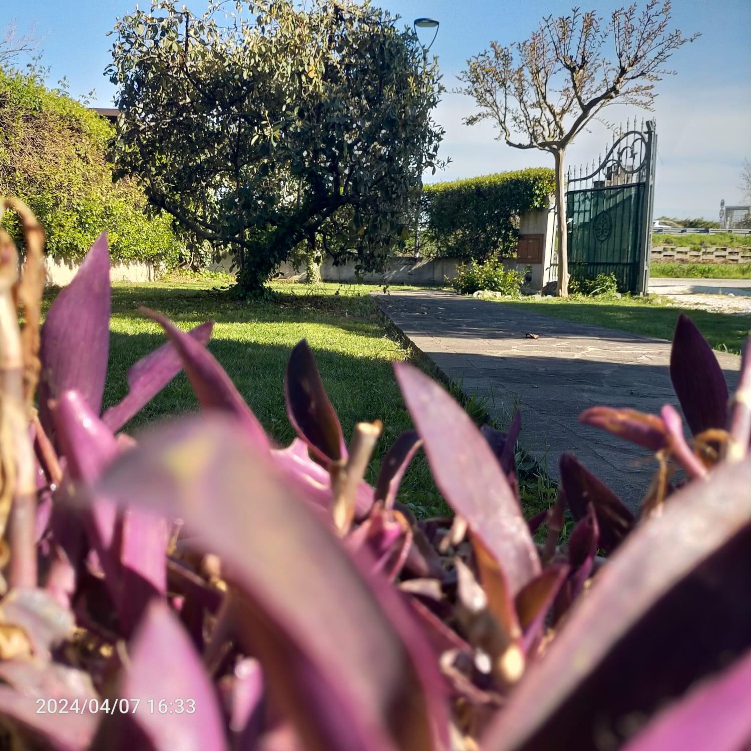 La Magnolia - Fano Bed and Breakfast Buitenkant foto