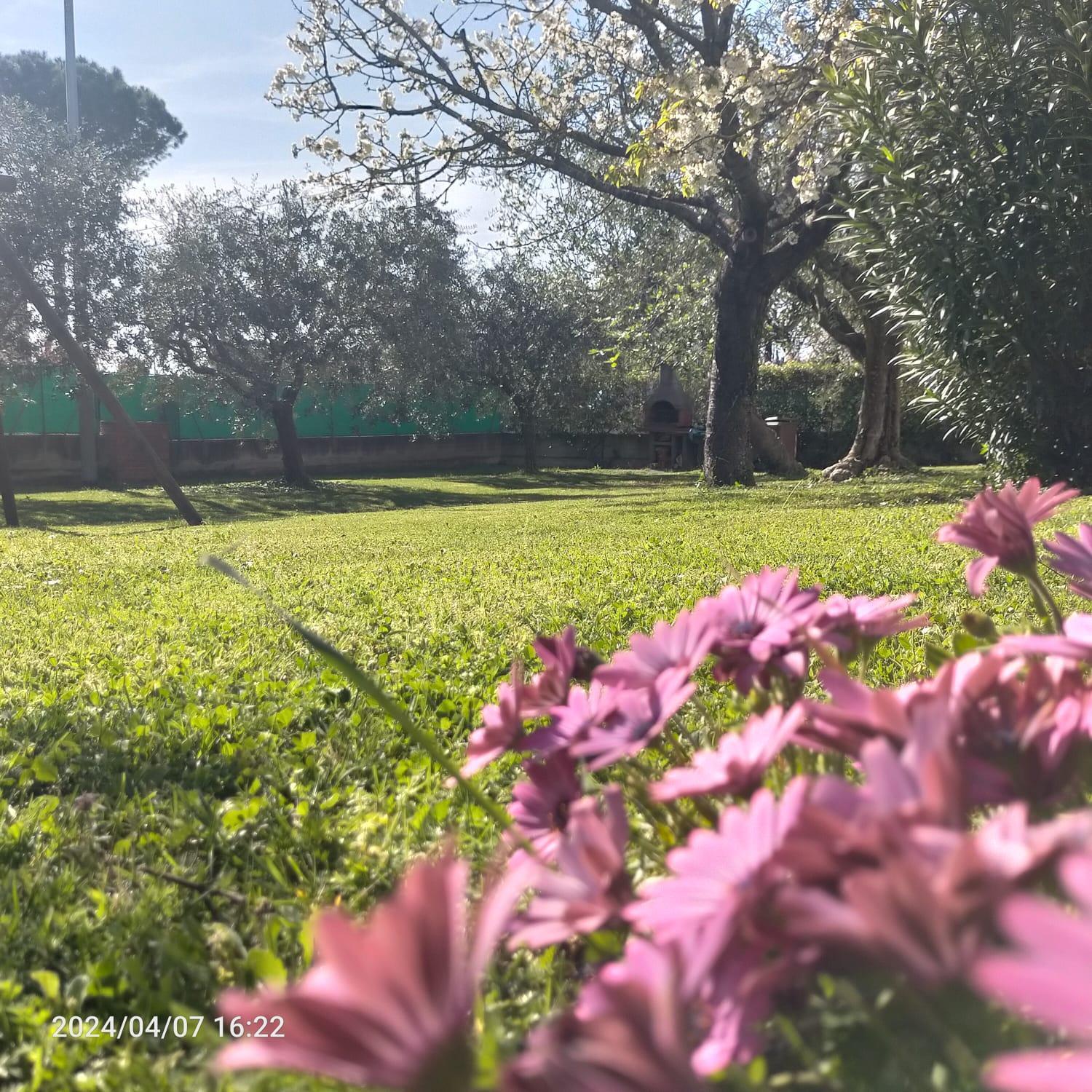 La Magnolia - Fano Bed and Breakfast Buitenkant foto