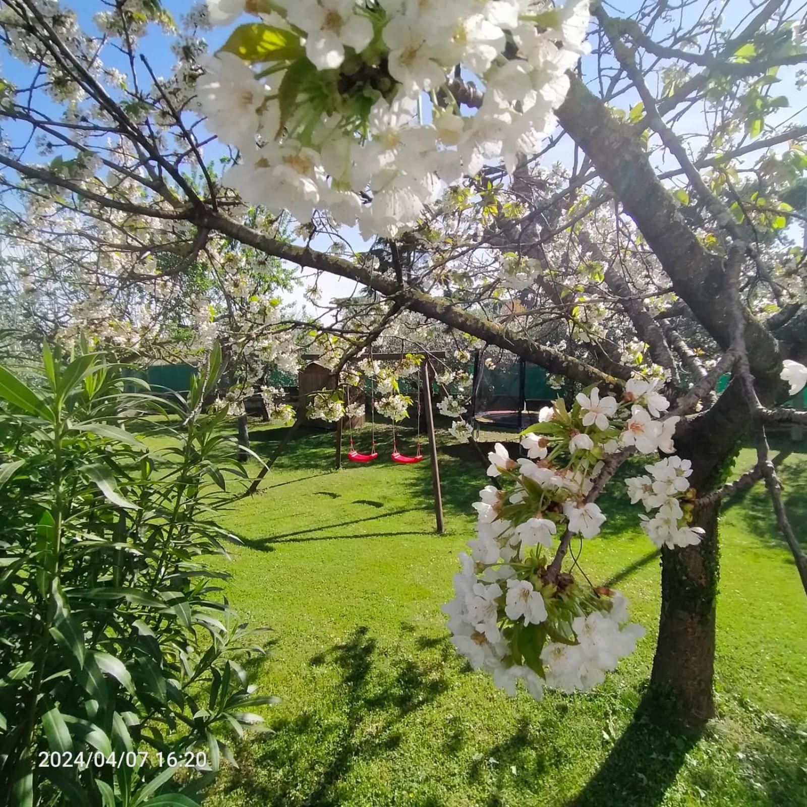 La Magnolia - Fano Bed and Breakfast Buitenkant foto
